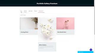 Portfolio Filter Gallery Wordpress Plugin [upl. by Modie]