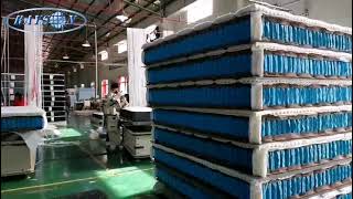 RAYSON New Style Pocket Spring Euro Top Bed Mattress Wholesale China Spring Mattress Manufacturer [upl. by Eiffub]