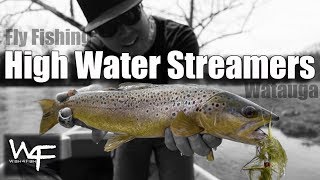 W4F  Fly Fishing quotHigh Water Streamersquot Watauga River Tennessee [upl. by Ecirp]