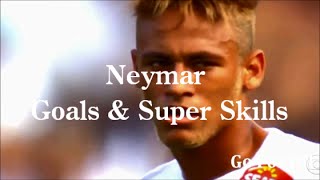 Neymar  Santos FC  Super Skills  Tricks amp Goals 2012  2013 HD ～ ネイマール スーパープレイ集 [upl. by Lewap265]