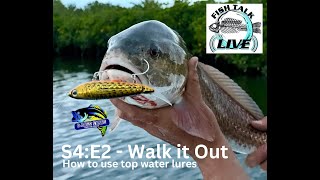 How to Top Water Fish  Fish Talk Live S4E2 [upl. by Reniar]