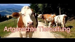 Artgerechte Tierhaltung Kolja beim BioBauernhof [upl. by Zemaj416]