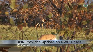 DNR provides update on Chronic Wasting Disease cases in Wisconsin [upl. by Hubing]