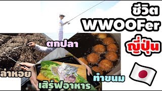 WWOOF The Series EP3 ตามติดชีวิตหมาป่า  สอนศัพท์ญี่ปุ่นสไตล์ WWOOFer [upl. by Akined787]