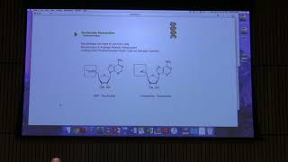 Lecture 43 Aherns BB 451  DNA Replication I [upl. by Garling682]