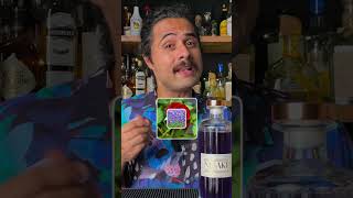 Reviewing Nisaki  Color Changing Gin shorts [upl. by Emrich711]