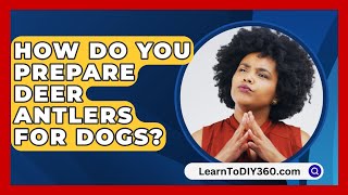 How Do You Prepare Deer Antlers For Dogs  LearnToDIY360com [upl. by Elagiba]