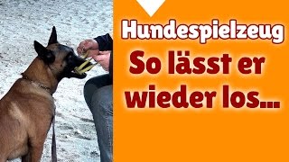 Hundetraining mit Steffi ► So lässt dein Hund das Hundespielzeug wieder los [upl. by Sprung]