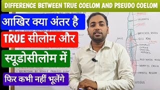 Difference between true coelom and pseudocoelom in HindiTrue coelom and pseudocoelom mein antar [upl. by Darren]