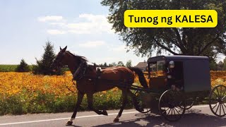 Tunog ng KALESA  Sound of HORSE CARRIAGE [upl. by Adamsen]