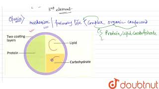 Describe the coacervate model [upl. by Adnahs878]