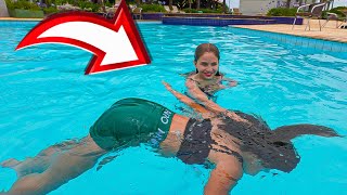 A VALENTONA AFOGOU A VAVÁ NA PISCINA 🚨SOS 🚨‼️🔔 [upl. by Horter]