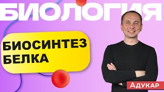 Биосинтез белка  Биология [upl. by Slaughter]