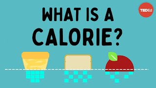 What is a calorie  Emma Bryce [upl. by Esra50]