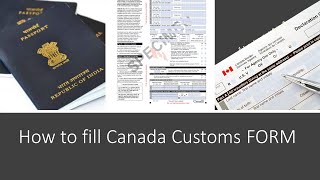 Customs Declaration Card How to Fill Step by Step Full Information [upl. by Aitekram146]