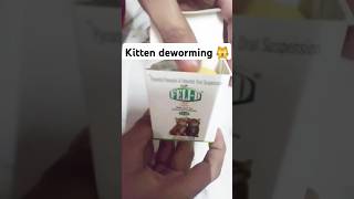 Deworming my kitten shorts ytshortsvideo deworming comedy cat youtubeshorts [upl. by Zhang]