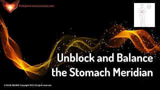 Unblock and Balance the Stomach Meridian  EnergyFrequency Healing Music [upl. by Gemoets]