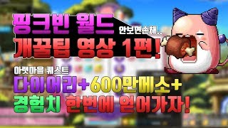 메이플 마마링 핑크빈월드 다이어리600만메소경험치까지 얻을 수 있는 꿀팁 [upl. by Celeste618]