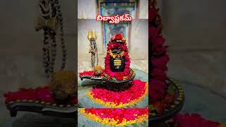 Lord shiva telugu songs [upl. by Arimat]