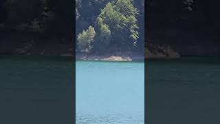 Turquoise lake in Valea Doftanei [upl. by Richy]