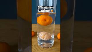 DIY Mandarinen Experiment funforkids kindergarten experiment diy kidscrafts science forkids [upl. by Riddle]