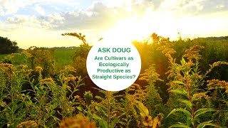 Ask Doug Cultivars vs Straight Species Native Plants [upl. by Mungovan]