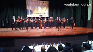 Rondalla Del Mundo quotYo sin tiquot [upl. by Hagerman]