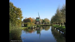 Najaarswandeling rond Sportpark Molenvliet Bataafsekade in Gorinchem door Tine deJong [upl. by Lachish]