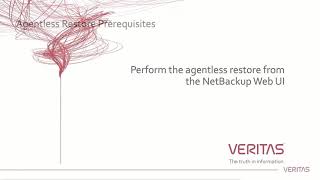 NetBackup 82 Agentless VMware Restore [upl. by Damian]