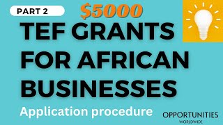 TEFTony Elumelu Foundation application procedure 2024 part 2 Test   Business Grant for Africans [upl. by Eirallam438]