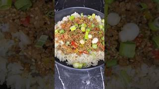 GROUND BEEF RICE RECIPE [upl. by Ahel439]