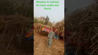 mazdoor ki mehnat ko nazar andaz na karo share karo subscribe karo [upl. by Honora]