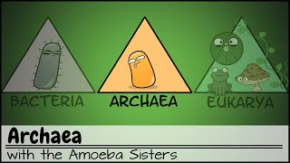 Archaea [upl. by Attiuqehs632]