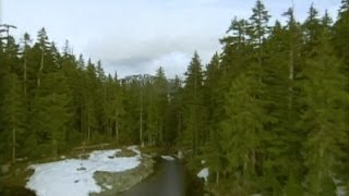 Forestry in Canada Exploring Boreal Forest with Pierre Levac [upl. by Heigl]