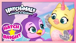 Hatchimals Hatch Bright Episodes 11 to 16  Adventures in Hatchtopia Compilation  Cartoon for Kids [upl. by Onimixam279]