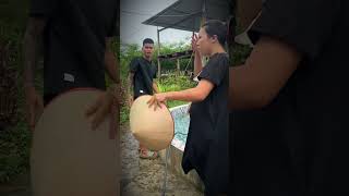 anh làm gì mà cứ vội vạya giadinh mechongnangdau viralvideo [upl. by Rodger]