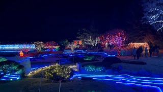 Nikka Yuko Japanese Garden Winter Lights and Lethbridge Glow [upl. by Nay]