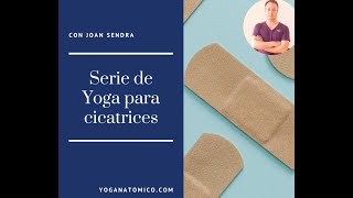 Serie de Yoga para las cicatrices [upl. by Alaik968]