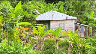 CAMPOS DE REPÚBLICA DOMINICANA DONDE CASI NO VIVE GENTE [upl. by Aralk]