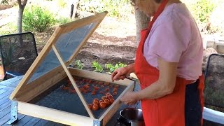 Home made sun dried tomato rack [upl. by Skoorb977]