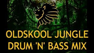 Oldskool Jungle Drum n Bass Mix 9297 [upl. by Elatia]