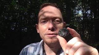 Moldavite Shungite Water with Herkimer Diamond  The Moldavite Podcast  Epi12 [upl. by Suiluj]