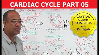 Cardiac Cycle  Systole amp Diastole  Dr Najeeb Part 58 [upl. by Eynobe]