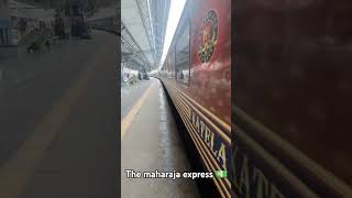 Most expensive train of india Maharaja expressviralshorts viralvideo explore railways [upl. by Airekahs251]