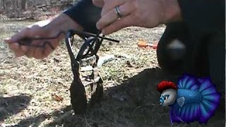 How To Set Out Of Sight Mole Trap [upl. by Forta]