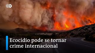 Ecocídio o crime de destruição ambiental em massa [upl. by Losse]