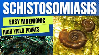 Schistosomiasis Bilharziasis Cause Diagnosis amp Treatment  Easy Mnemonic  High Yield Points [upl. by Norrahc923]