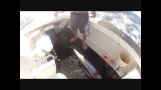 Kristel Fishing Aruba 22kg48lb Wahoo [upl. by Ferren]