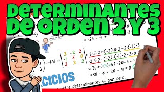 ✅ Calcular DETERMINANTES de ORDEN 2 y 3  Regla de Sarrus [upl. by Hurleigh970]