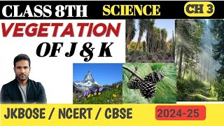 Types of vegetation in Jammu and Kashmir  Pine  Birch  Deodar aalumkclasses [upl. by Baerl317]